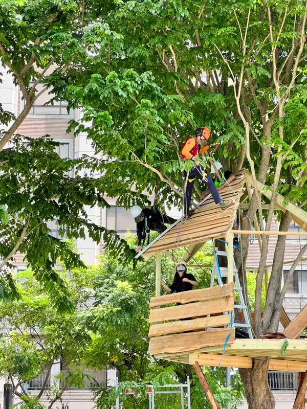 工作坊現場 9/9：2022瘋北大行道樹屋，攀樹師搭建屋頂 / Workshop photo 9 of 9
